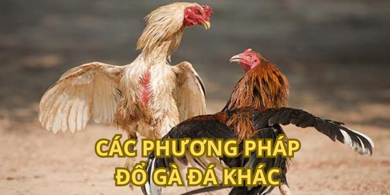 Các cách đổ gà đá khác