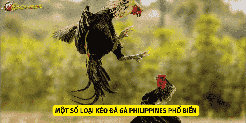 Có ba loại kèo cược phổ biến 