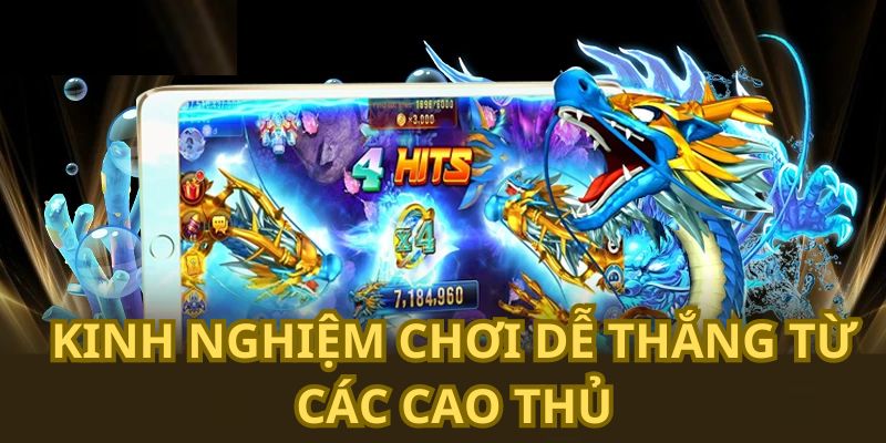 Kinh nghiệm chơi dễ thắng từ các cao thủ