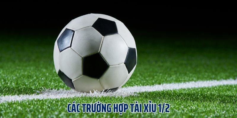 Các trường hợp Tài xỉu 1/2