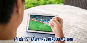 Tài Xỉu 1/2 - Cẩm Nang Cho Người Mới Chơi Bắt Kèo Siêu Đỉnh