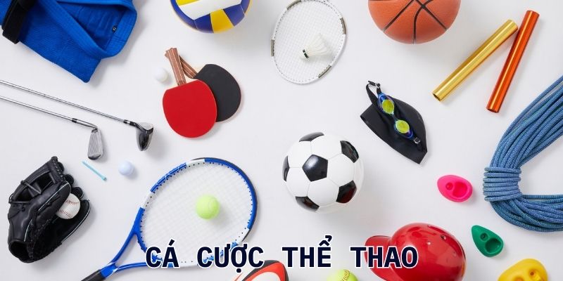Các bộ môn cá cược thể thao trực tuyến phổ biến 2025