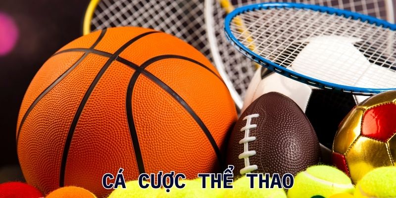 Tennis hay còn gọi là quần vợt