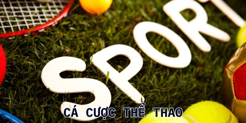 Thể thao là gì?