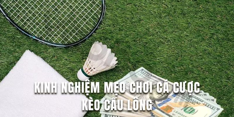 Chiến lược cá cược cầu lông hiệu quả từ cao thủ