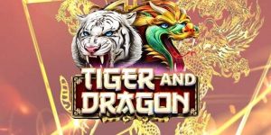 Game Bài Rồng Hổ – Cuộc Đấu Tay Đôi Kịch Tính Nhất