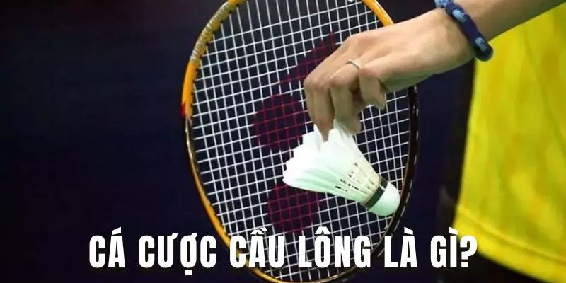 Cá cược cầu lông là gì?