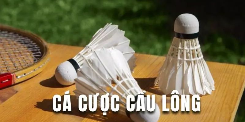 Lý do nên chọn cá cược cầu lông tại game bài đổi thưởng