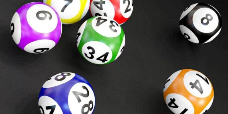 Giới thiệu về nuôi lô bạch thủ 247 net