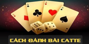 Game Bài Catte - Hướng Dẫn Tất Tần Tật Quy Tắc Cho Newbie