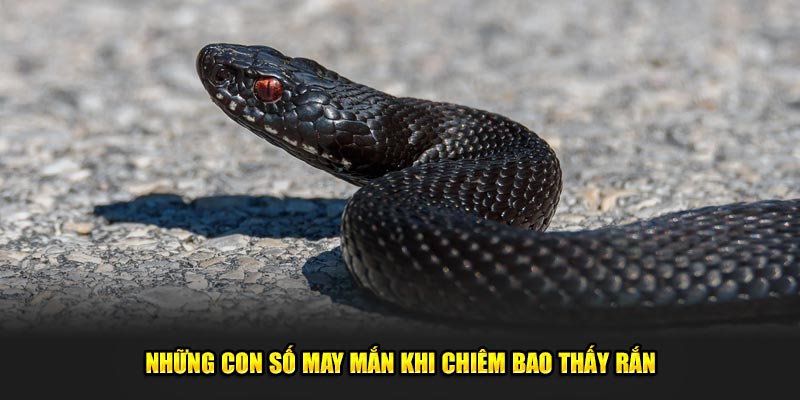 Chiêm bao thấy rắn đen hôm nay đánh số mấy?