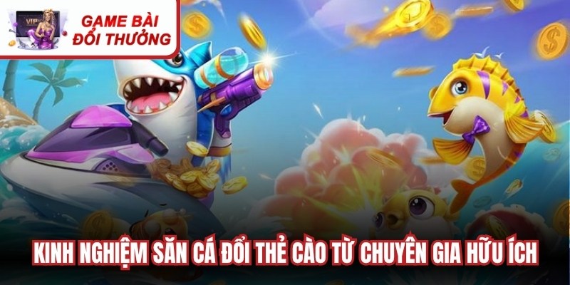 Kinh nghiệm săn cá đổi thẻ cào từ chuyên gia hữu ích