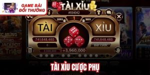 Tài Xỉu Cược Phụ