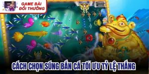 Cách Chọn Súng Bắn Cá