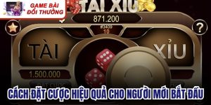 Cách Đặt Cược Hiệu Quả