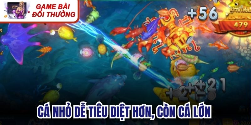 Cá nhỏ dễ tiêu diệt hơn, còn cá lớn hoặc boss có thể yêu cầu lượng sát thương cao