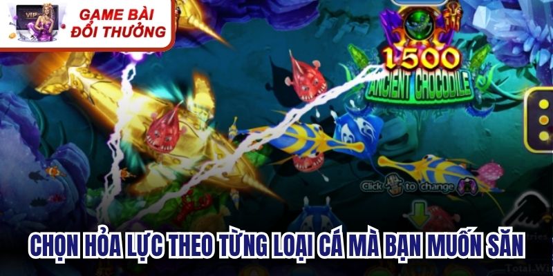 Chọn hỏa lực theo từng loại cá mà bạn muốn săn 