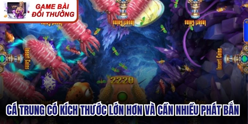Cá trung có kích thước lớn hơn và thường cần nhiều phát bắn hơn để hạ gục