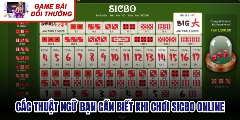 Các thuật ngữ bạn cần biết khi chơi sicbo online