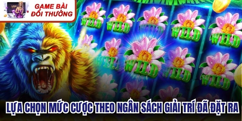 Người chơi lựa chọn mức cược theo ngân sách giải trí đã đặt ra
