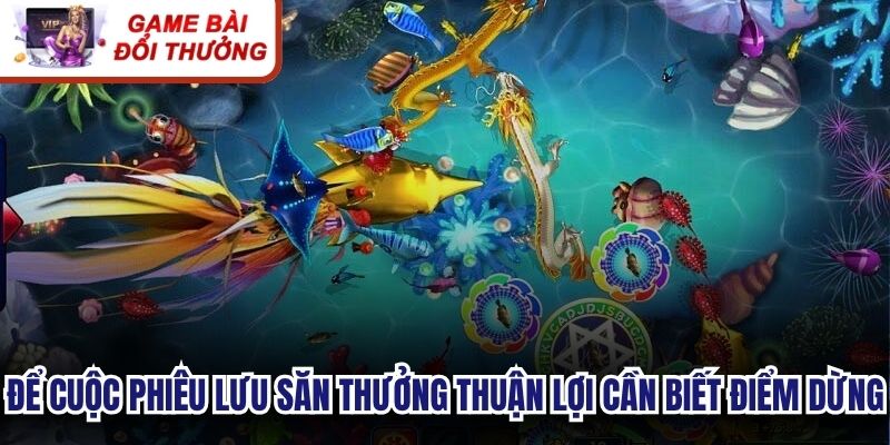 Để cuộc phiêu lưu săn thưởng diễn ra thuận lợi anh em cần biết điểm dừng