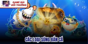 Các Loại Súng Bắn Cá