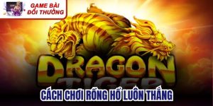 Cách chơi rồng hổ luôn thắng